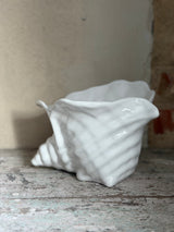 Urtepotte ~ Konkylie