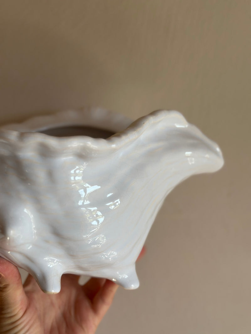 Konkylie 🐚 Urtepotte