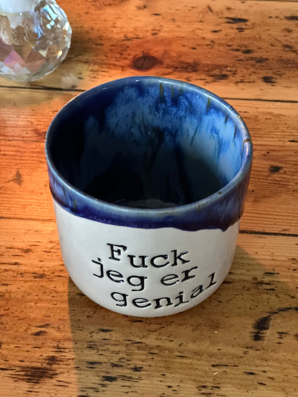 Kop ~ Fuck jeg er genial