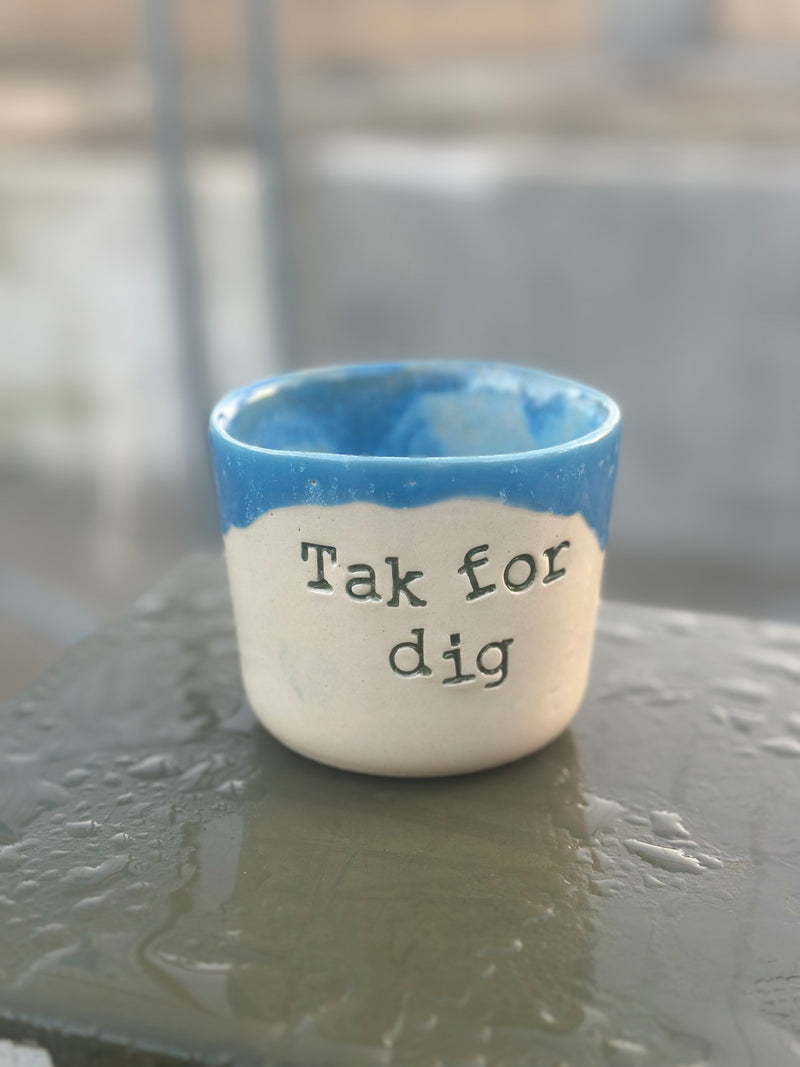 Kop ~ tak for dig ( 2. Sortering)