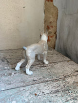 Hunde figur ~ Boston Terrier