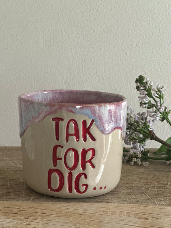 Kop ~ tak for dig