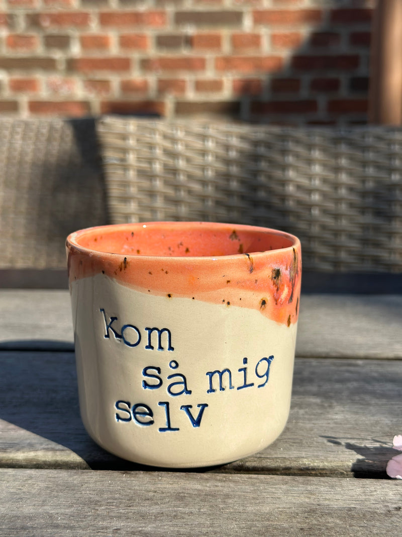 Kop ~ kom så mig selv ~ 2. Sortering.