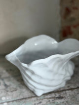 Urtepotte ~ Konkylie