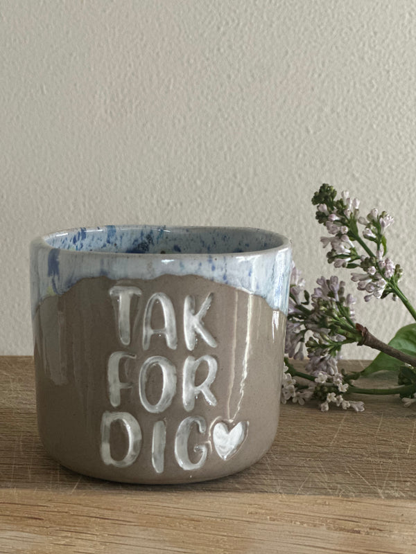 Kop ~ tak for dig