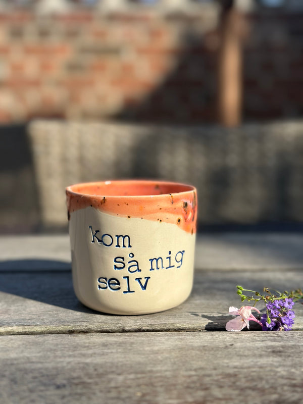 Kop ~ kom så mig selv ~ 2. Sortering.