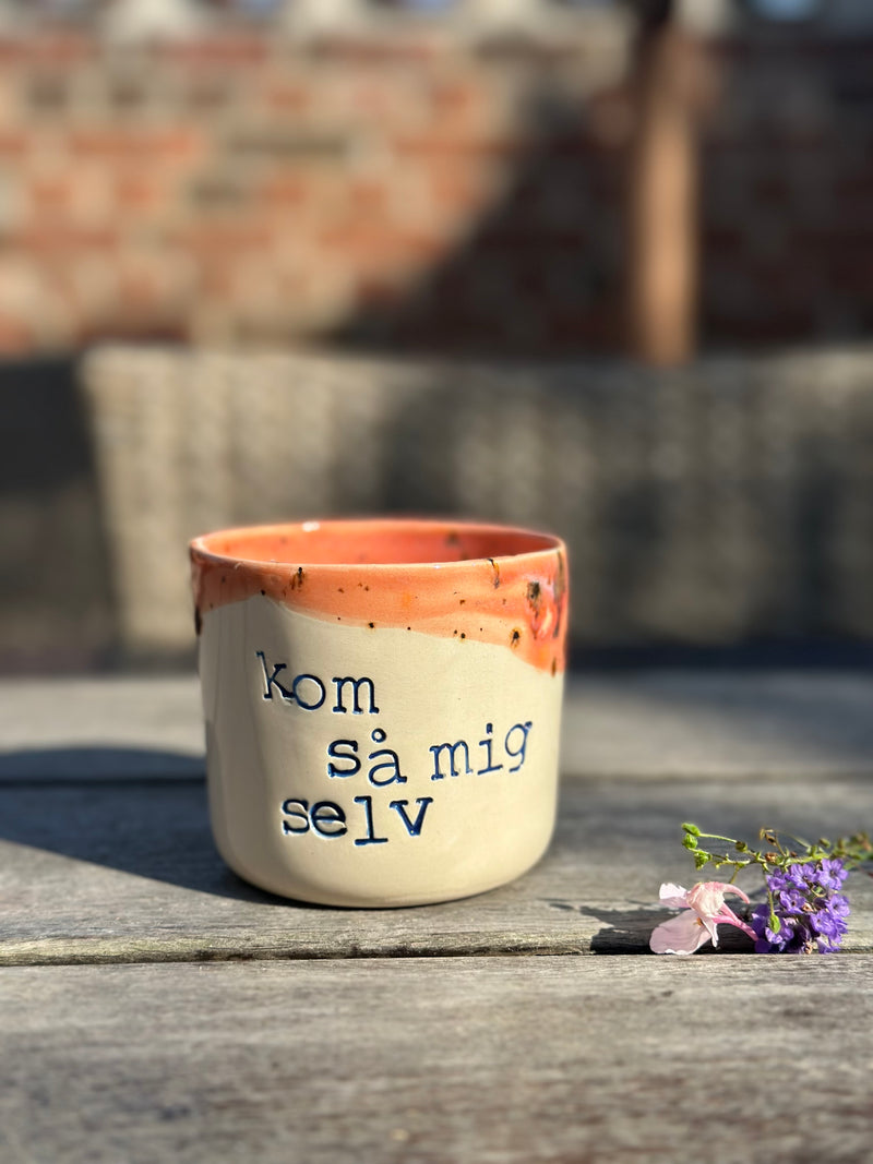Kop ~ kom så mig selv ~ 2. Sortering.