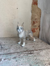 Hunde figur ~ Boston Terrier