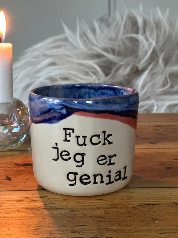 Kop ~ Fuck jeg er genial