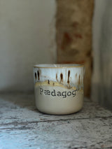 Kop ~ pædagog