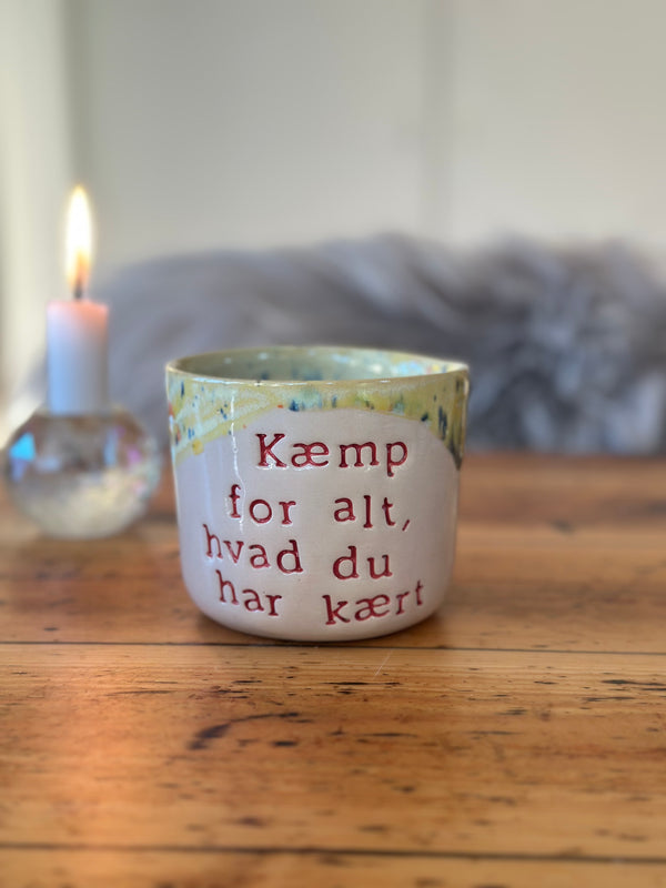 Kop ~ Kæmp for alt, hvad du har lært