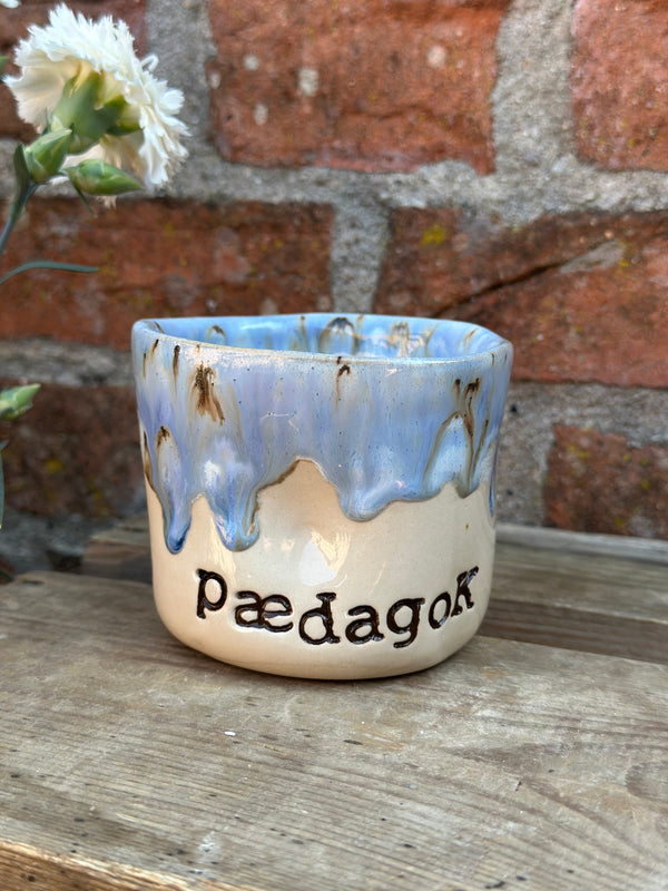 Kop ~ PædagoK