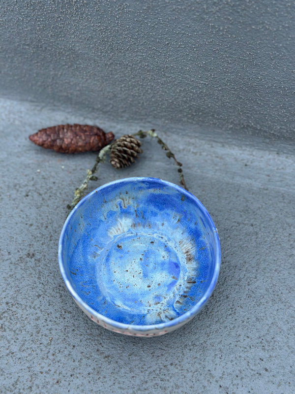 Skål ~ Nissens skål