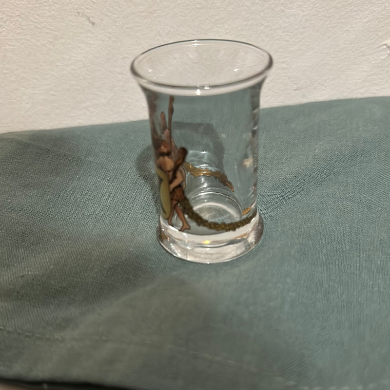 Snaps glas