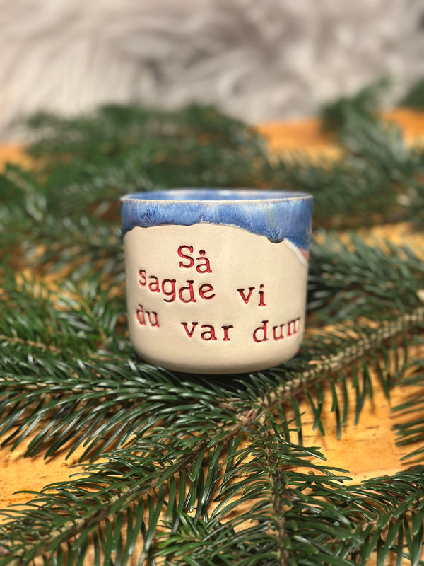 Kop ~ så sagde vi du var dum