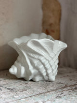 Urtepotte ~ konkylie