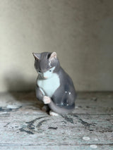 Figur ~ Grå kat