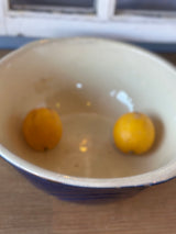 Skål