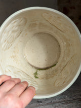 Majolica-urtepotteskjuler