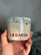 Kop ~ PædagoK