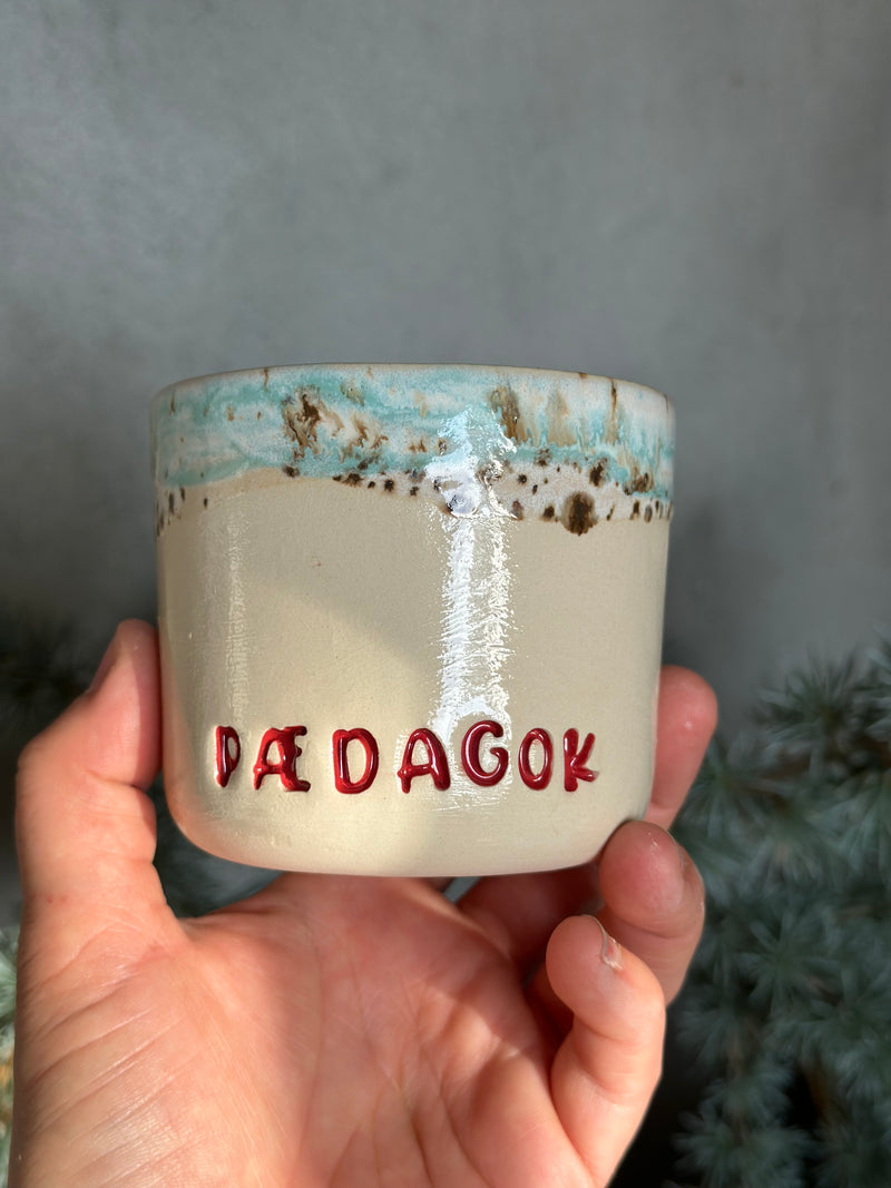 Kop ~ PædagoK