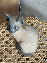 Figur ~ siamesisk kat