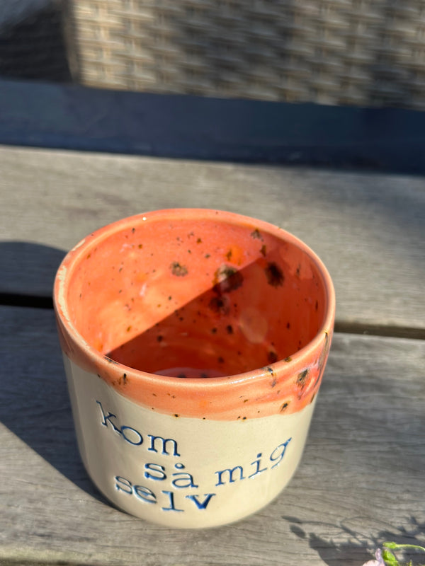 Kop ~ kom så mig selv ~ 2. Sortering.