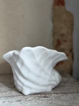 Urtepotte ~ Konkylie