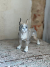 Hunde figur ~ Boston Terrier