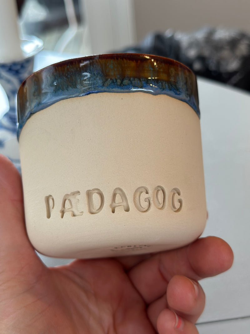 Kop ~ Pædagog