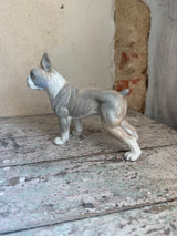Hunde figur ~ Boston Terrier