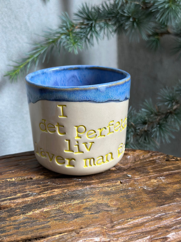 Kop ~ i det perfekte liv laver man fejl
