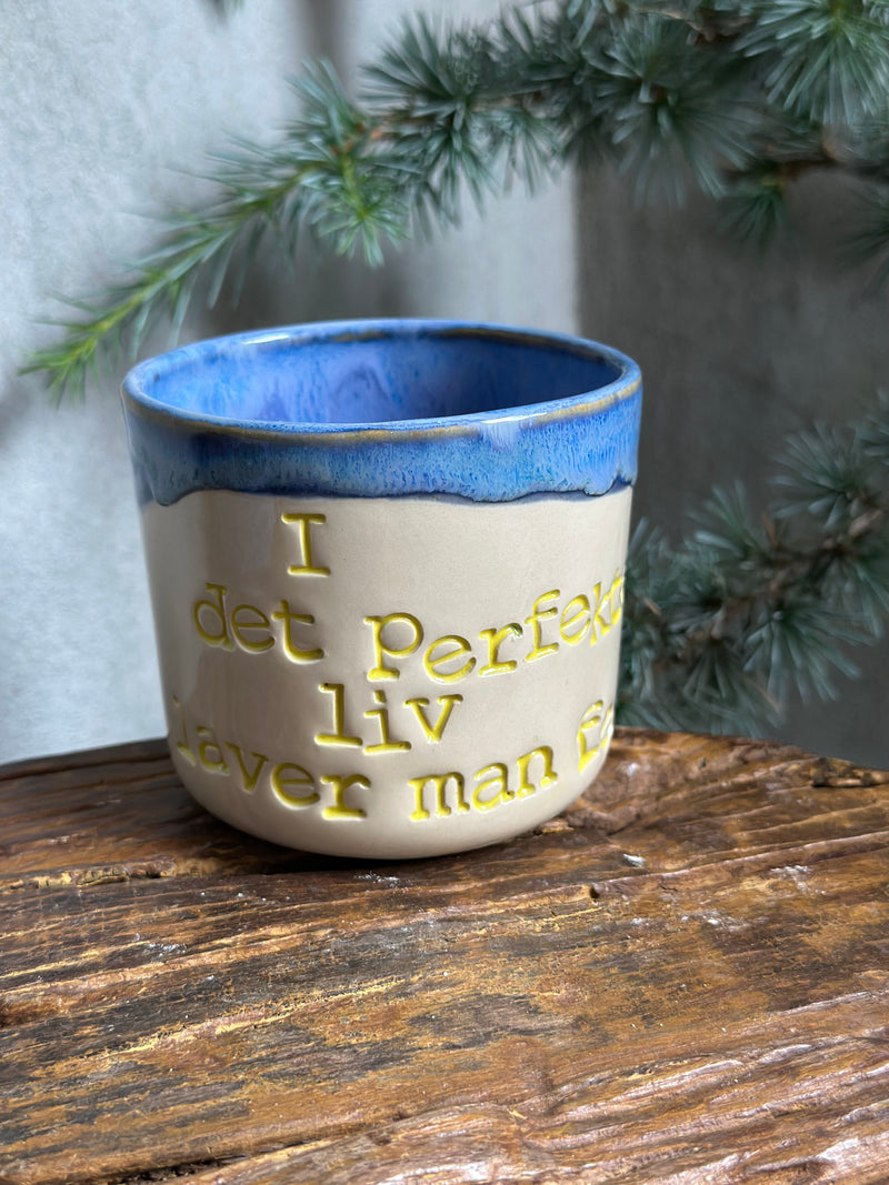 Kop ~ i det perfekte liv laver man fejl