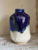 Vase ~ Havblik