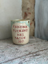 Kop ~ FANDME FUCKING NEJ, SAGDE JEG