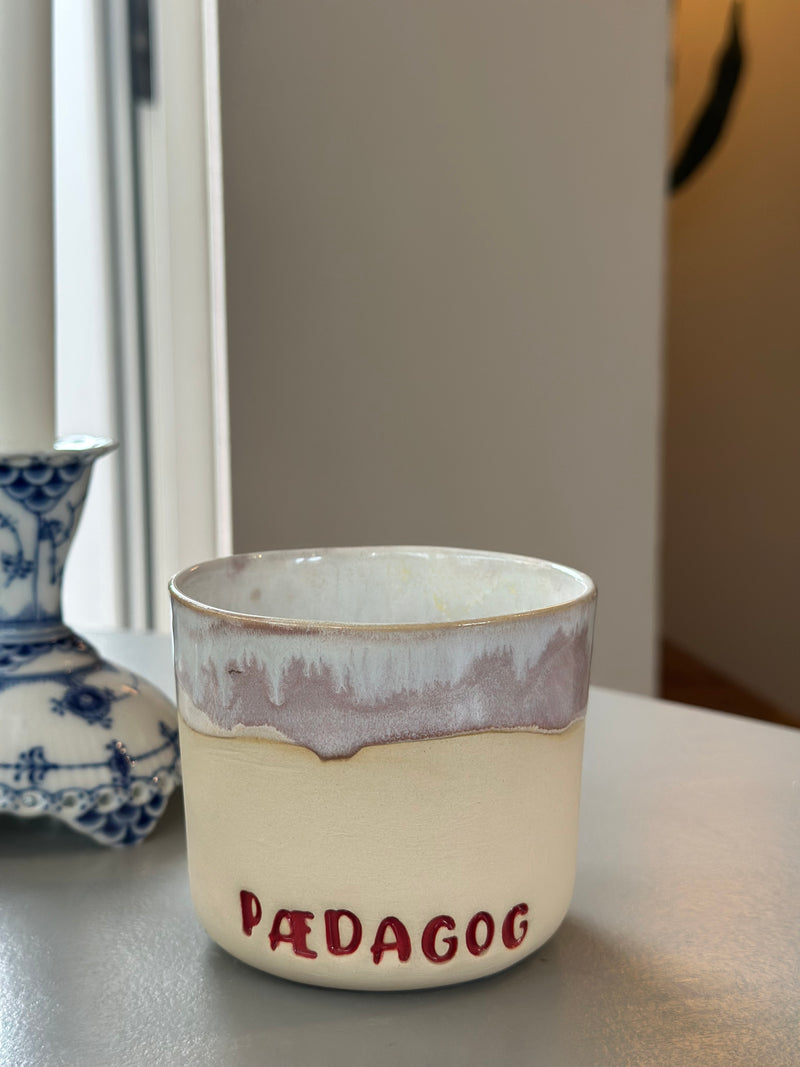 Kop ~ Pædagog