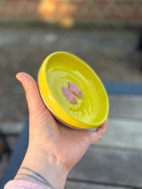 🎀 Skål 🎀