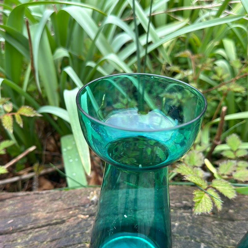 Hyacintglas