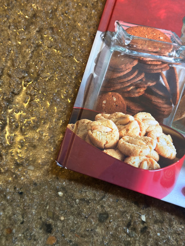 Den store julebagebog