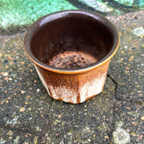 Urtepotte