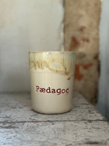 Kop ~ Pædagog