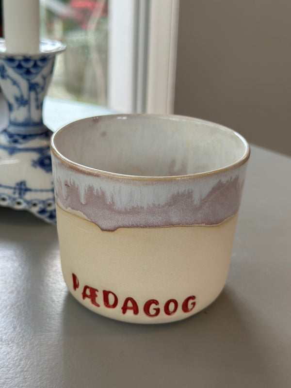 Kop ~ Pædagog