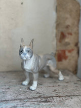 Hunde figur ~ Boston Terrier
