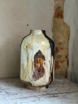Vase ~ Magma
