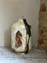 Vase ~ Magma