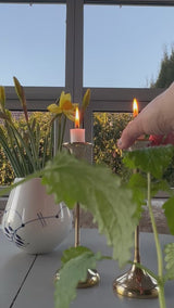 Trompet stager ~ sæt