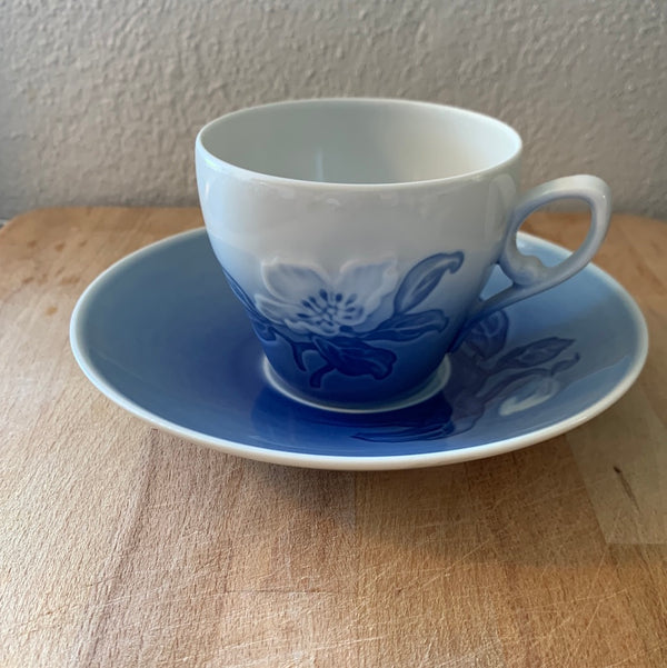 Kaffekop/ underkop