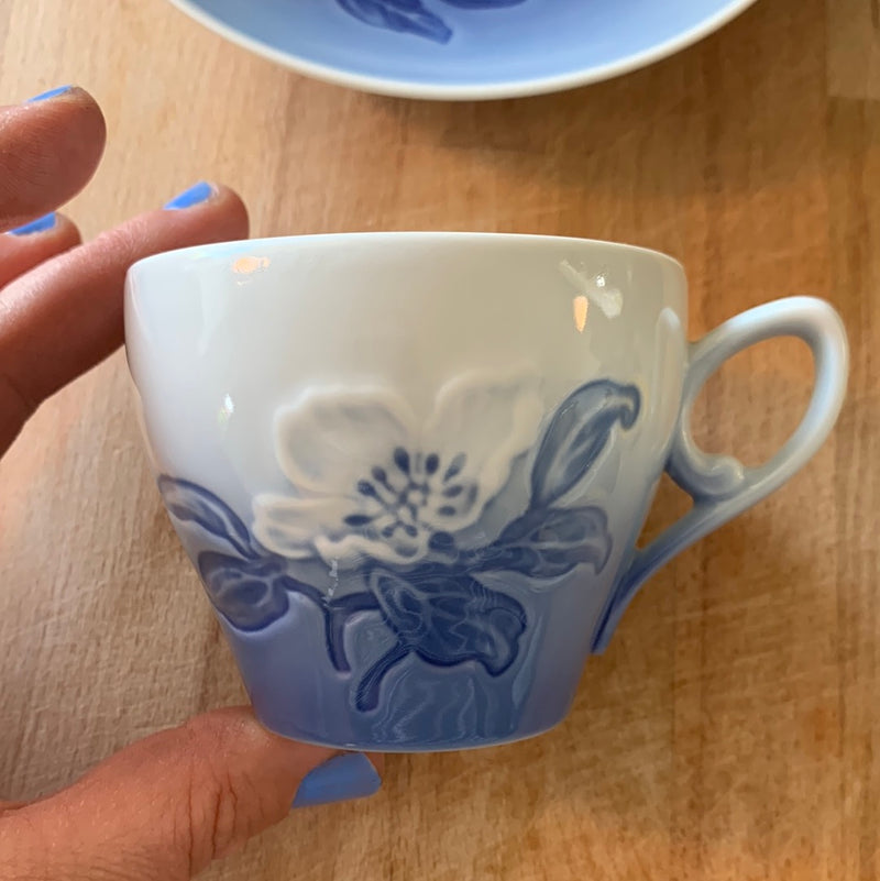 Kaffekop/ underkop